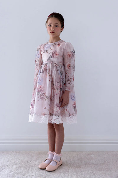 Petite Amalie Fantasy Print Silk Linen Dress