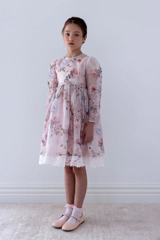 Petite Amalie Fantasy Print Silk Linen Dress