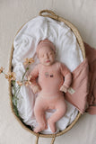 Aurora Pink Embroidered Bear Take Me Home Set