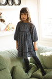 Louis Louise Light Denim Leopard Mahana Dress