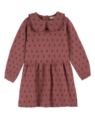 Emile et Ida Violine Poppy Fleece Dress