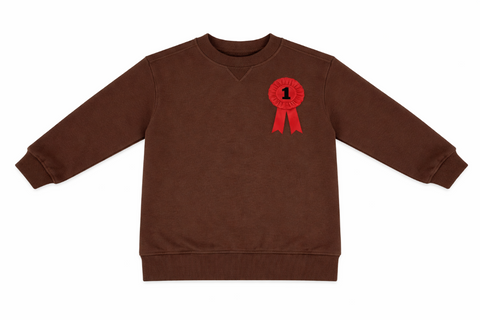Crew Kids Chocolate Polo Club Sweatshirt