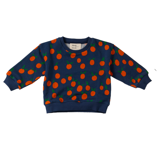 Wander & Wonder Baby Navy Tangerine Sweatshirt + Legging Set