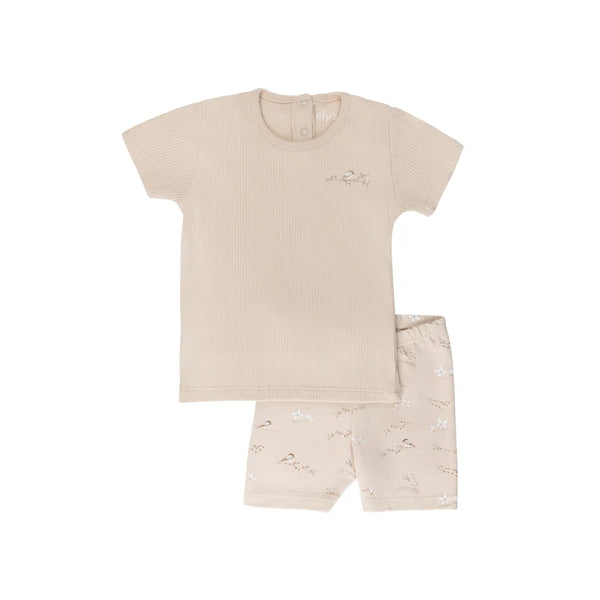 Ely's & Co Tan Vintage Birds Tee + Short Set