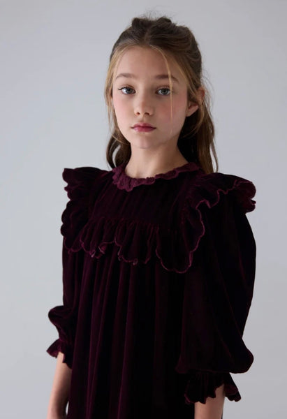 Petite Amalie Dark Cherry Lace Trim Velvet Dress