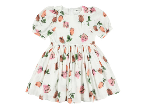 Morley White Roses Welsa Dress