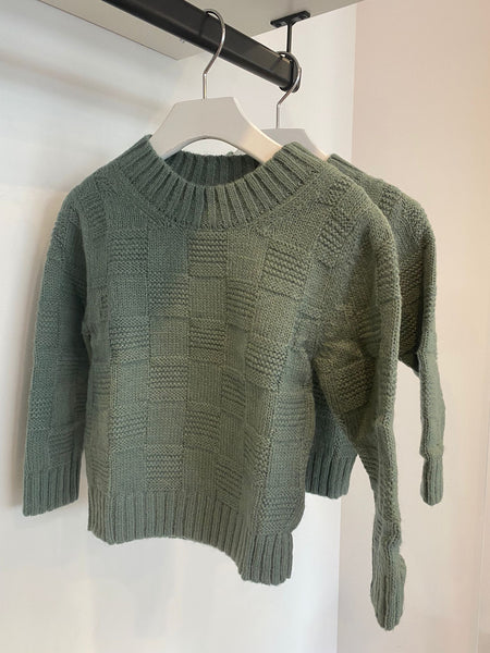 Aymara Leo Pixel Sweater
