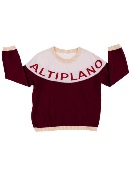 Tinycottons Bordeaux Altiplano Sweater Oversized