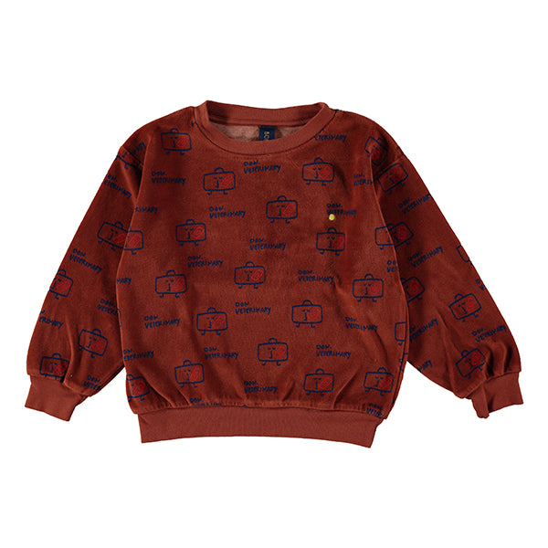 Bonmot Terracotta Velvet Veterinary Sweatshirt