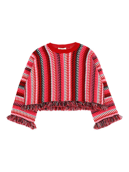 Dixie Multicolor Stripe Fringe Knit Top