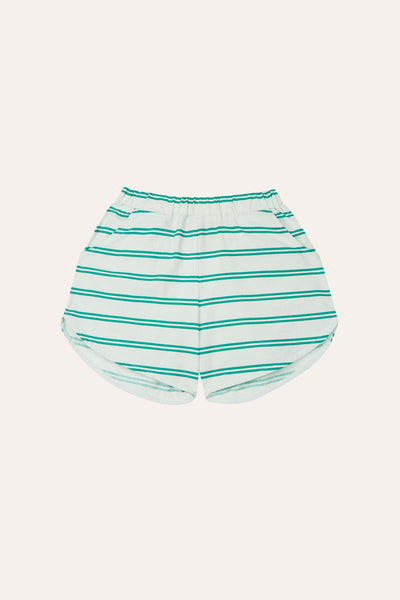 The Campamento Green Blue Striped Shorts